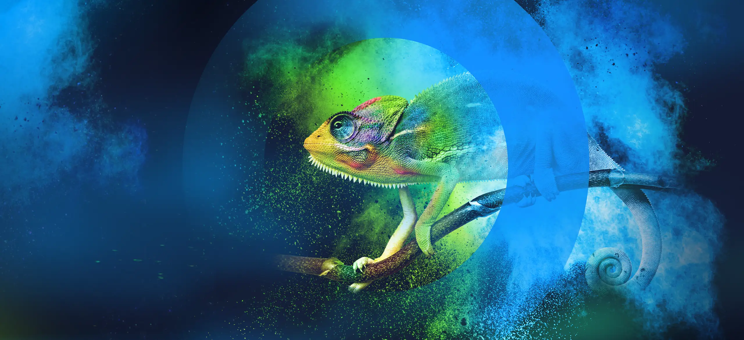 Hero visual: Chameleon